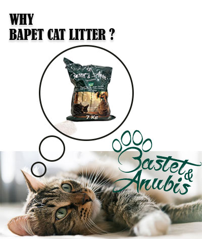 Cat litter ingredients