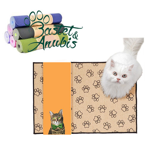 Cat litter mat