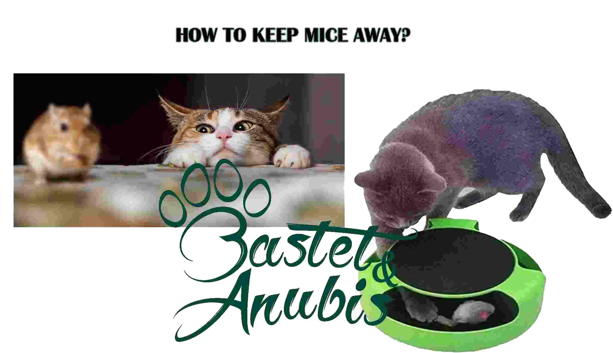 Will cat litter keep mice away