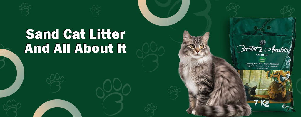 Sand cat litter