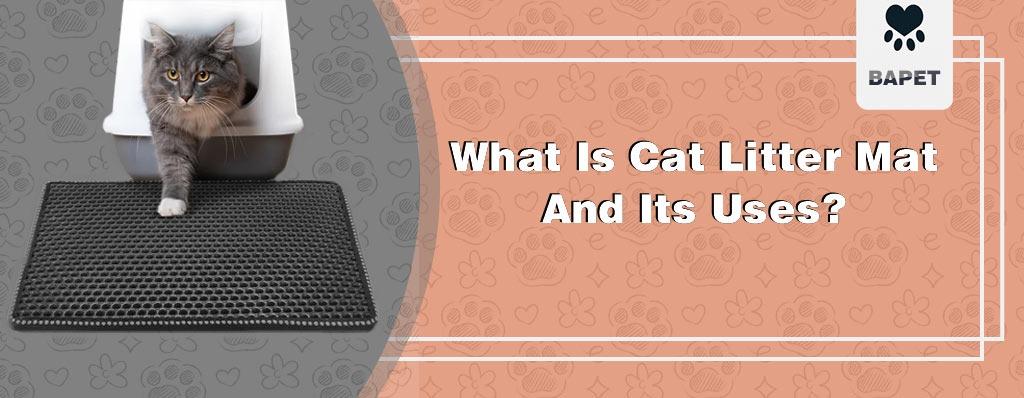 Cat litter mat