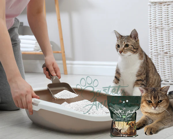 How much cat litter should you use