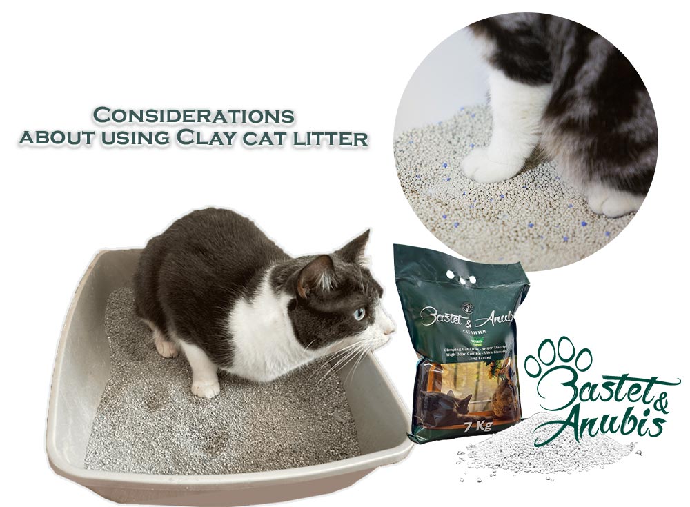 What is clay cat litter
