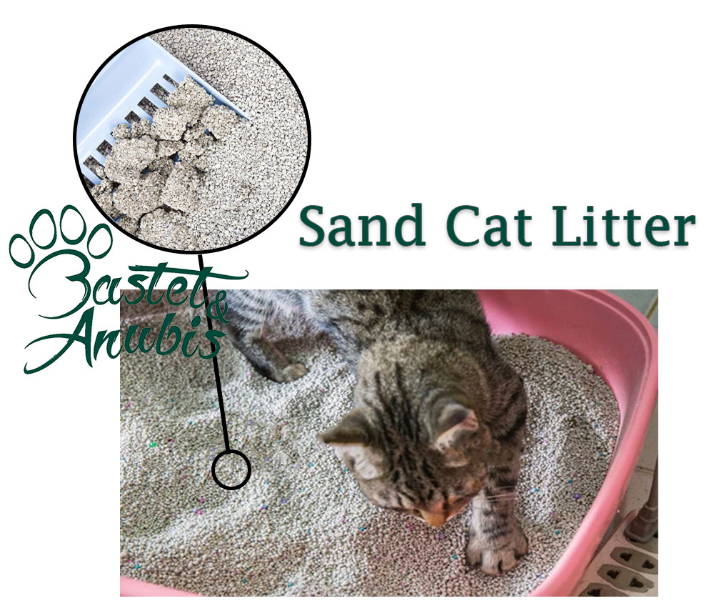 Sand cat litter