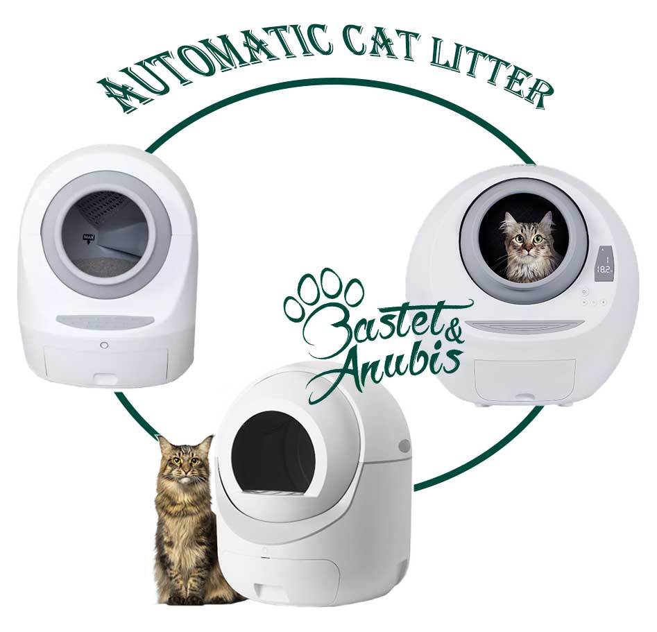 Automatic cat litter