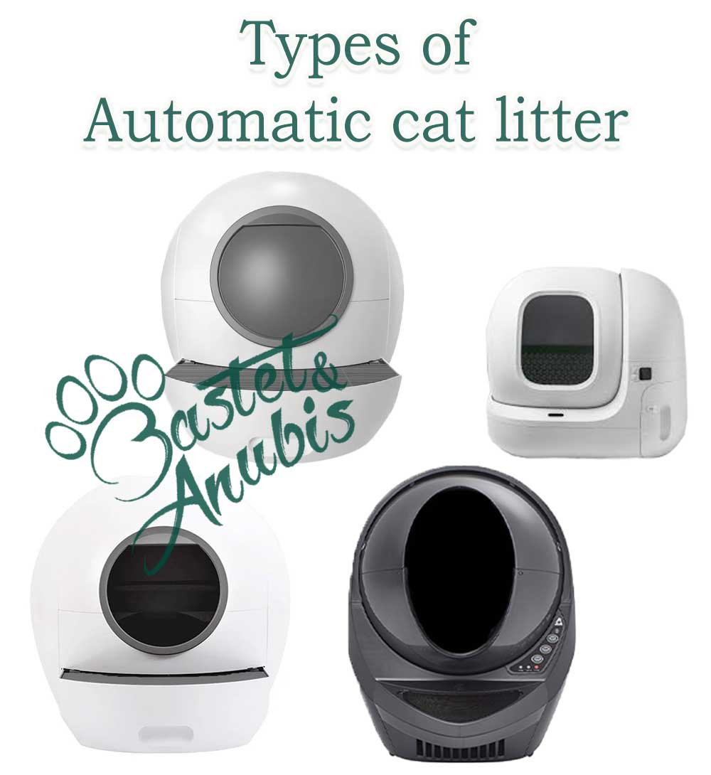 Automatic cat litter