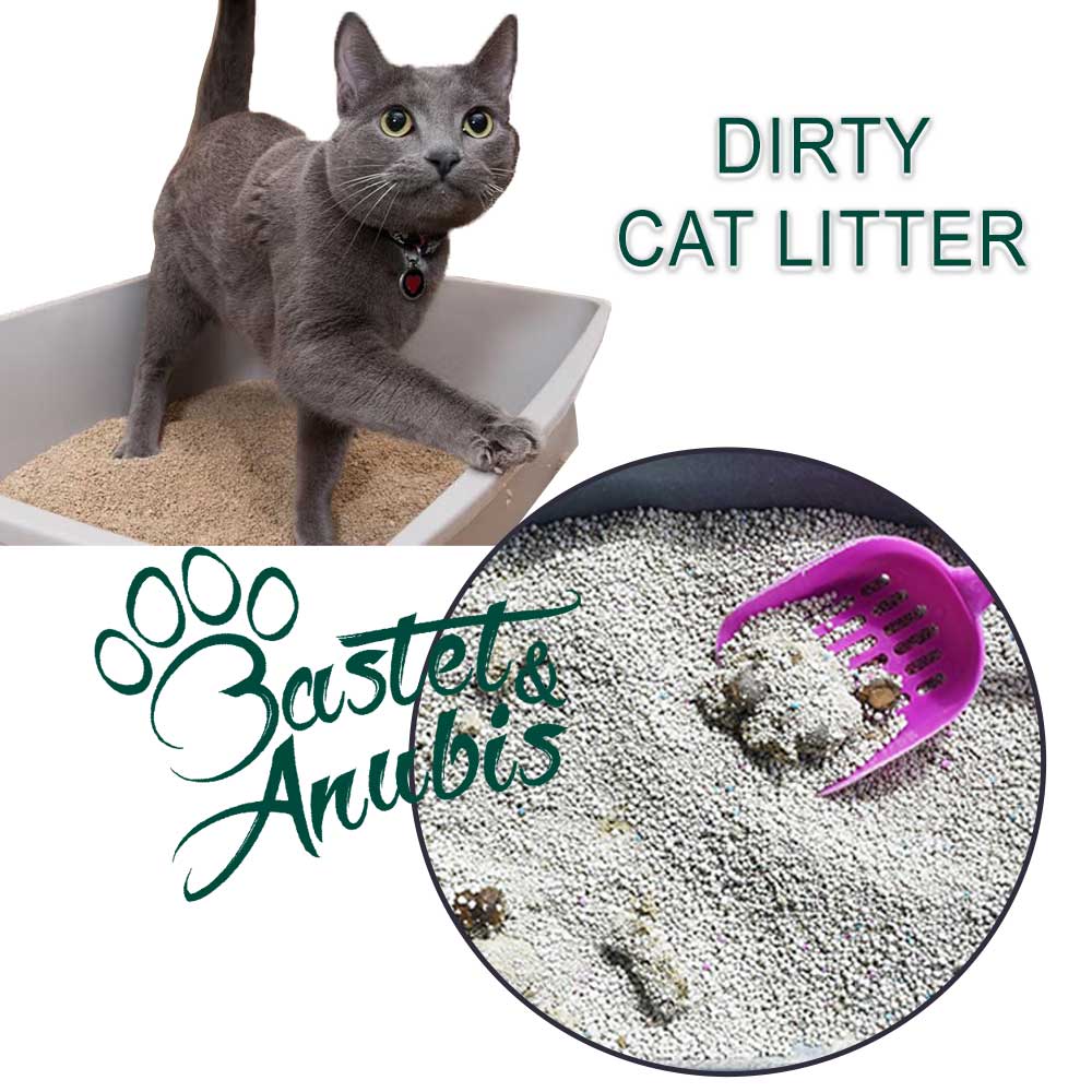 Cat litter illness