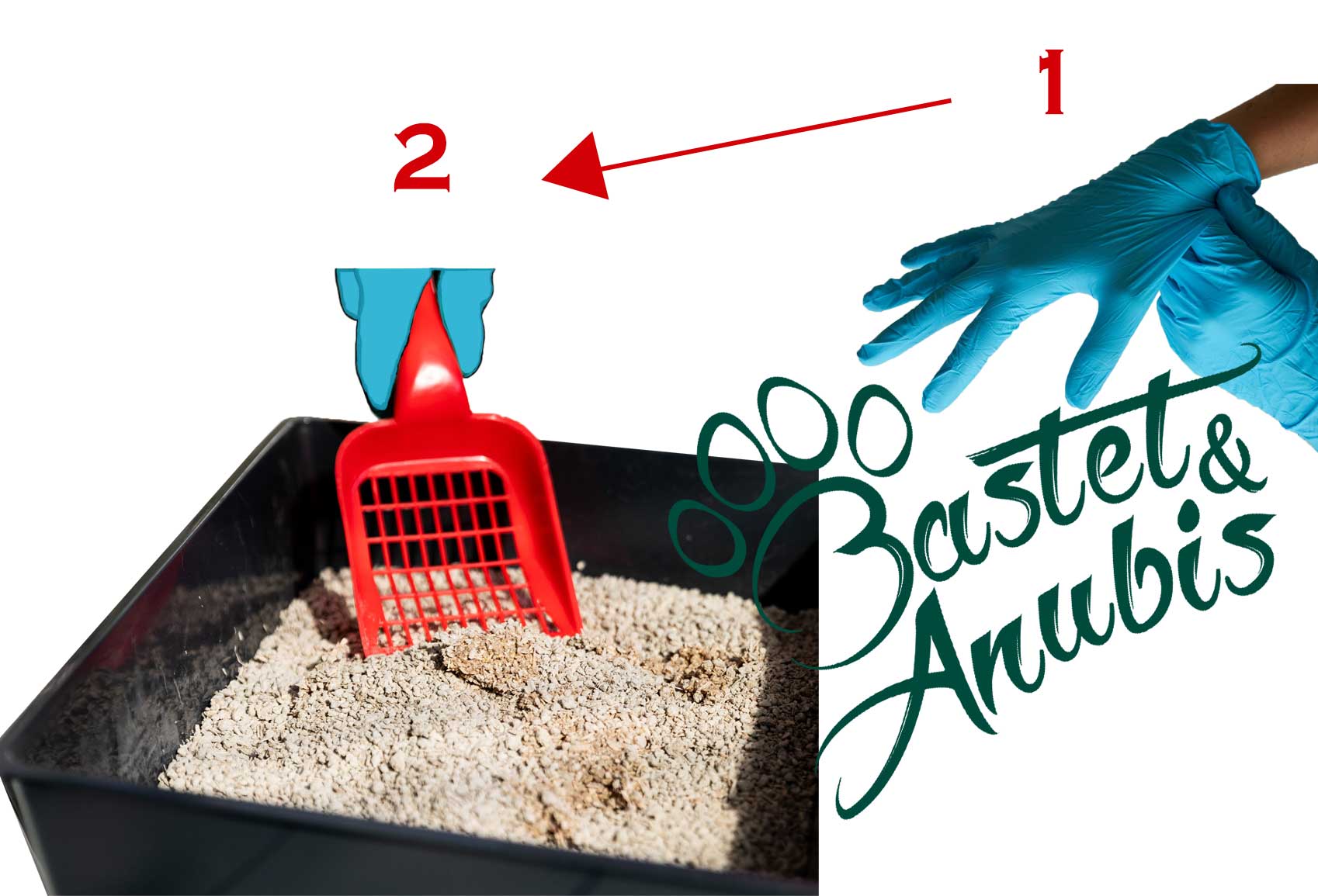 Cat litter illness