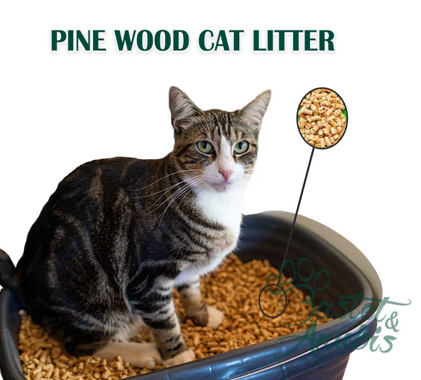 Wood base cat litter