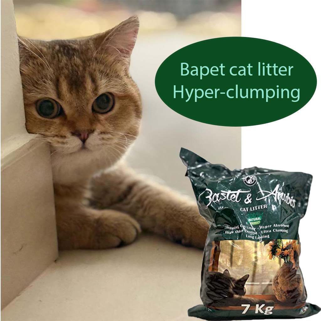 Clumping vs Non-clumping Cat litter