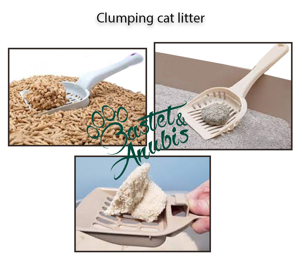 Clumping vs Non-clumping Cat litter